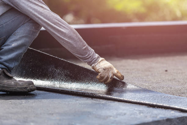 Professional Interior Drainage System technician working in Malinta, OH